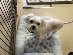 9176AFA0-2ED7-4ECF-AC5F-C48E79179DC3