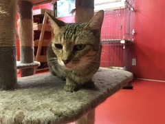 0422775F-440D-4D59-A8C6-7B3513823CD5