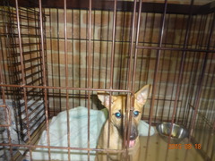 DSC06059