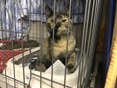 C26D1F35-3789-445C-9768-B05CB7B2EF58