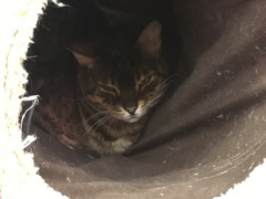 85D23813-602D-4CBC-8131-F03FB337EC09