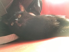 9671F05E-AE7E-41DF-A54B-CA00B0A8141B