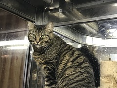 8D54969D-C5F8-431C-8F29-D270AF9240E9