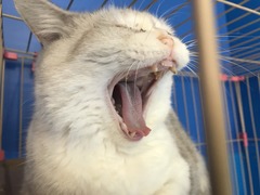 4C1D1295-814C-468D-902E-09D531C7FB30