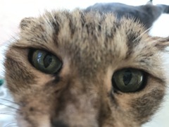 E288A84F-93E0-4AB1-BD03-42AE3E7F8AA3