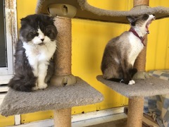 18199AC9-B94E-4B40-8D0E-92DD1CB79305