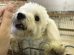 4CDA49B0-E7C5-4892-AE04-45CC8C63E9F3