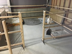 5FB57ED9-319C-4686-83EC-3E76DD6CBBC9