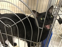 E55DFE46-79F6-440C-8773-3974A8CEF784