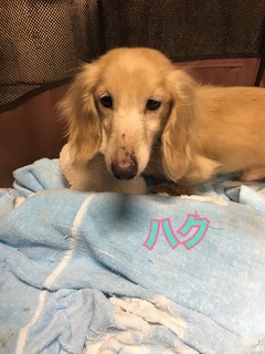 45AE9344-6853-4F5A-9131-ACEDCB694A5E