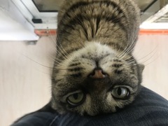 81A72220-A6D7-4D4D-A0B8-6F61889D5857