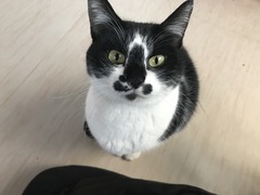 3267714D-90AF-4885-81AA-37667AC8DB46