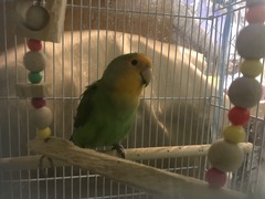 EB7EF54B-828F-4E1D-B06F-46FA0887EF0C