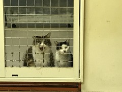 4E656B9E-0266-449B-AC39-2E7F8D5B65DB