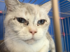 CBEC9E58-35FF-4715-BE57-A28E2E20DDFD