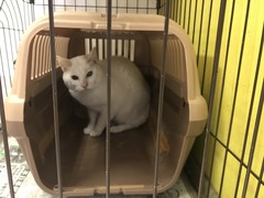 AF1F5BA0-D67A-438B-A91D-187F2DB979A1