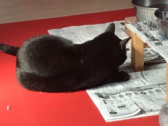 9E7C6351-B89F-4B44-9ED1-7A5B0FE0D645