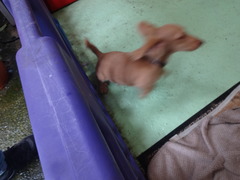 DSC08009