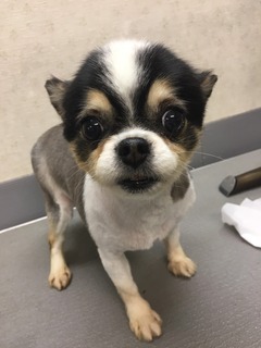 5692D077-29A2-4712-940A-7B223344074B