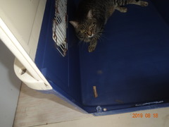 DSC06068