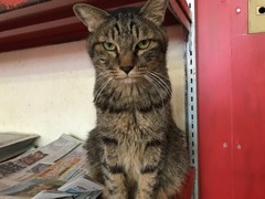 4CF2E451-82DF-4FC0-A545-945163506842