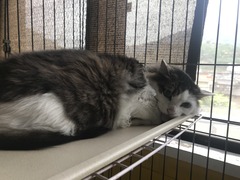 23AA288D-33FC-44AB-B8EC-B011D19C9FE0