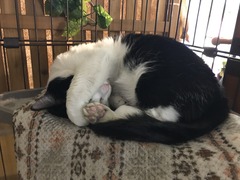 1A48F212-909C-4D05-BC73-2398C2C13F8C