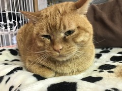 070EC99F-6EFE-4121-A7A0-C3C15AA11EE4