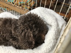 9F185CF7-B11E-4847-B2AA-3149CD38990C