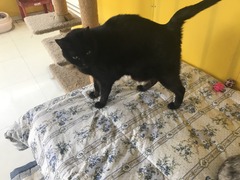 B97CC70B-A221-41AA-B738-66348DA4F5A9