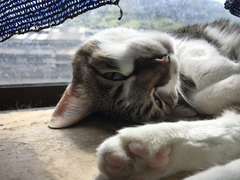 A821535B-AB4F-4EB6-9A05-0EE0293EF9EF