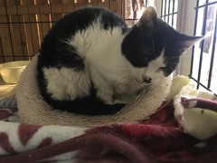 F7F4CAE8-AA97-4439-A255-F89E1E91FD43