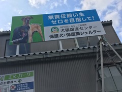 D146F73B-9C5F-4F9C-9341-0082C80E2A64