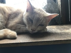 ACBD2990-89DF-415F-83E0-E62C32F21CBE