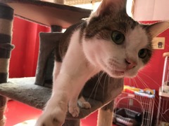 D0B8CED7-4E9F-46C3-A0C6-0C1E5962B316