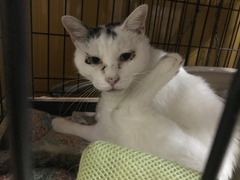 CD662D3C-05F9-4FA5-9060-F5E09B036CED