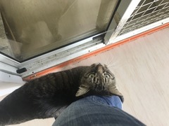 366071D8-9DCE-40AE-8F0C-7A8352B65B7B