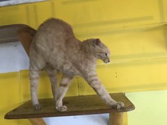 09BF5668-88A3-49E8-A59A-EE085E40B310