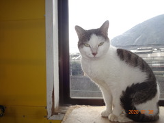 DSC07116