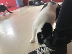 865211CF-6F4D-43DE-A288-B67A17C25546