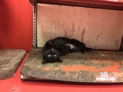 184F89C8-B7E8-4FC1-9B38-7F7F8DA4314E