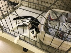 212E2E2C-7CCB-4B2A-A369-42C854AB2EAA