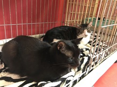 AB4D53E3-3331-4E85-BE39-16F928F7DCD8