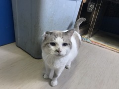 12EC1623-D33E-4C67-AA85-7CCB2BB10FA4