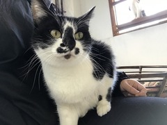 98351A69-45F2-4FB9-B4CF-BD929B24DE22