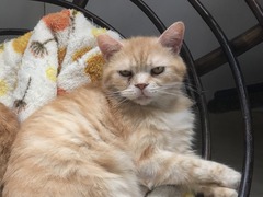 94F012C7-7675-46DF-8E22-D1DDAF094AC4