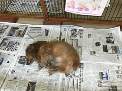 56E7E5FA-33F7-442A-B3B0-99DDBB350D27