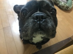 3C969363-78BC-4A66-A285-446774917E40