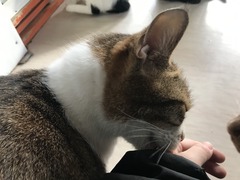 2A489873-3E04-4E0B-A557-32EDEDF34C8B