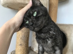 5DE7CD2C-75CD-4F0B-B7FB-0FC64043EADC